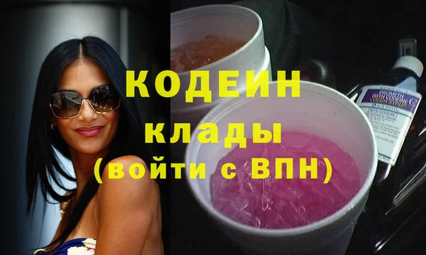 индика Аркадак
