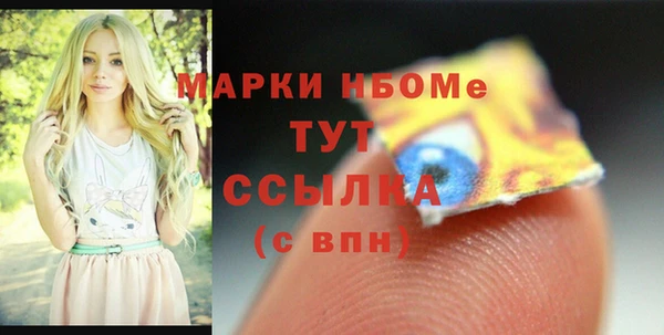 индика Аркадак