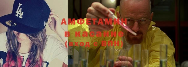 индика Аркадак