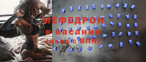 индика Аркадак
