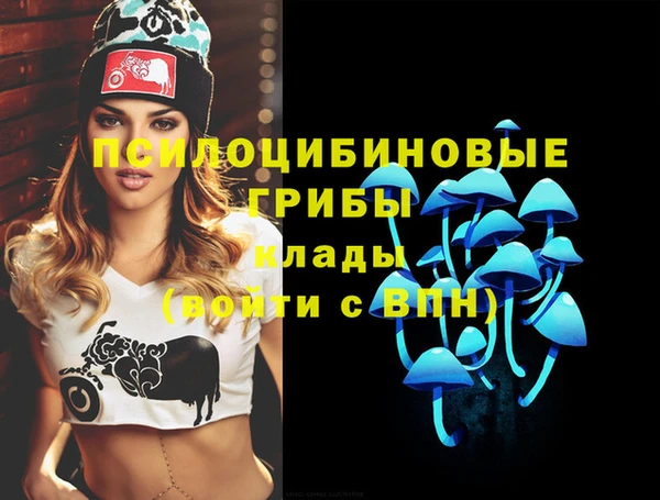 индика Аркадак