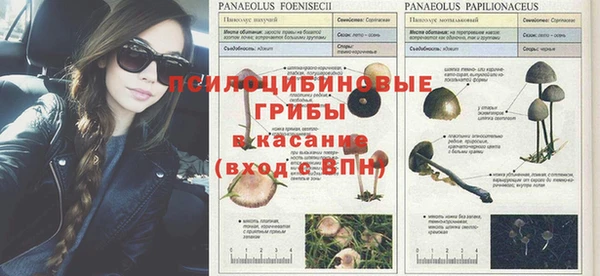 таблы Надым