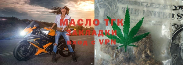 индика Аркадак