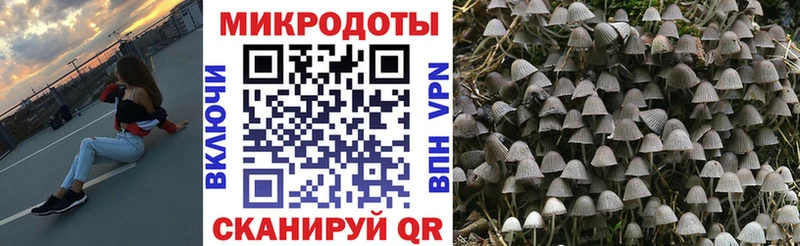 Галлюциногенные грибы MAGIC MUSHROOMS  мега вход  Пыть-Ях 