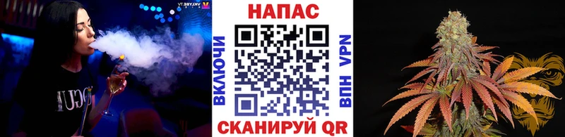 Канабис план  магазин продажи наркотиков  Пыть-Ях 